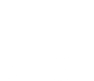 Polar+ Ice Shelves